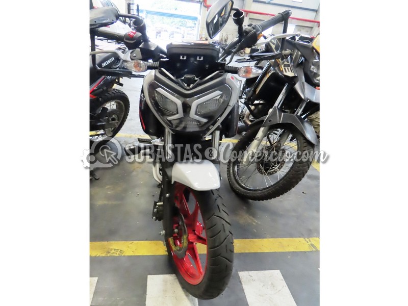 Salvamento Tvs Raider 125 racing - 2026 - 43H - Guarne